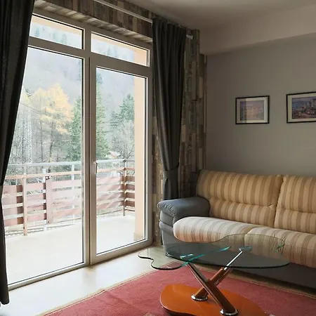 סינאיה Prahova Valley Apartment מראה חיצוני תמונה