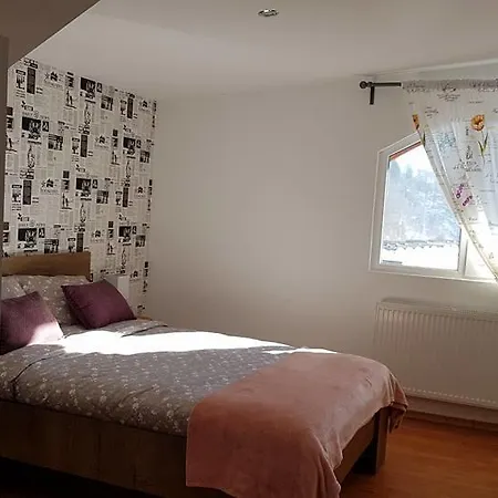 סינאיה Prahova Valley Apartment מראה חיצוני תמונה