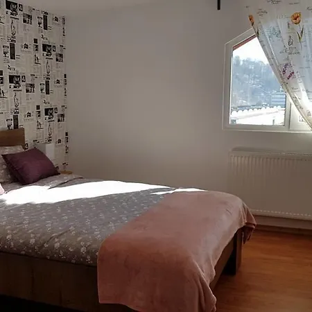 סינאיה Prahova Valley Apartment מראה חיצוני תמונה