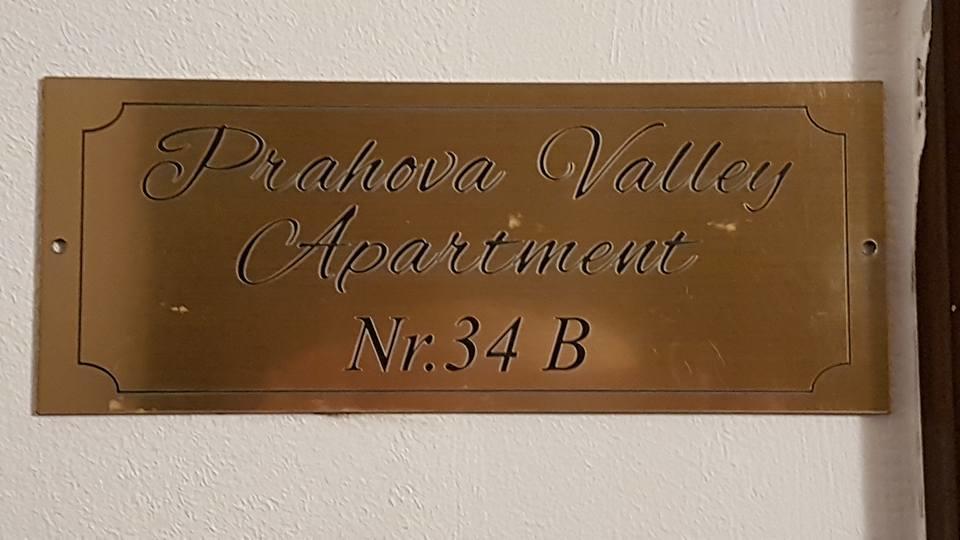 Prahova Valley דירה